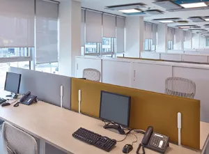 Mitesco Desk