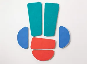 Tri Bu