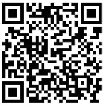 QR Code Snowsound Fiber