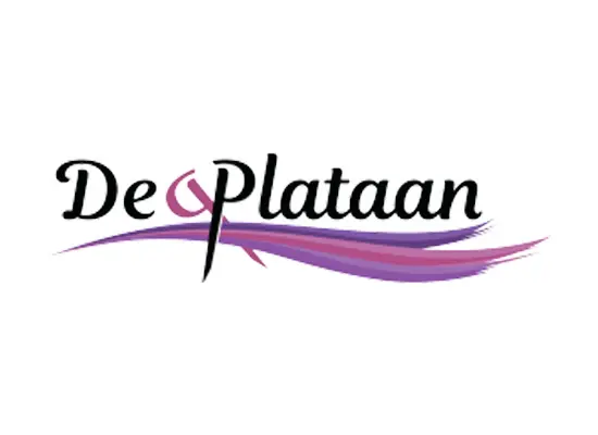 De Plataan te Zwaag